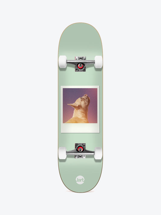 Jart Instant Film 8.25" Complete Skateboard