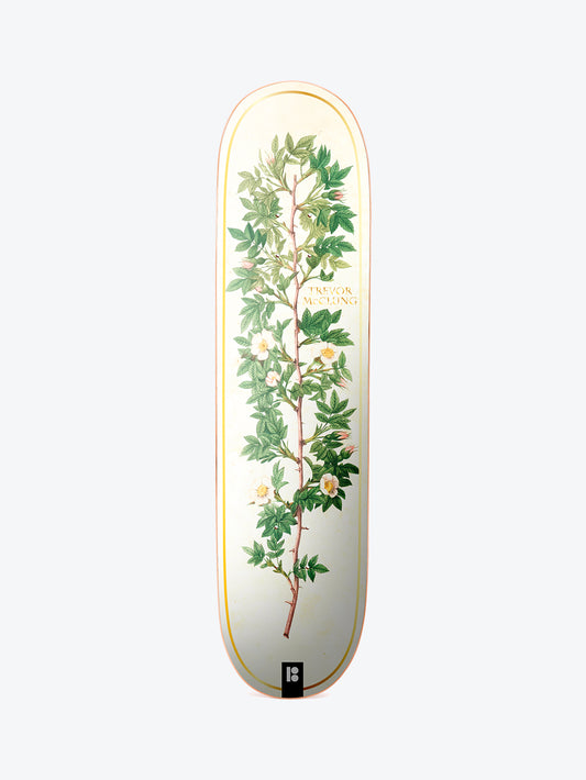 Plan B Bloom McClung 8.0" Skate Deck